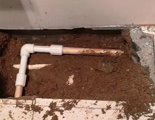 莱芜市测漏水哪家好