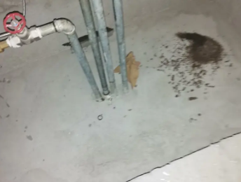 莱芜市卫生间测漏水价格明细