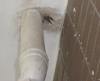 莱芜市漏水检测哪家好